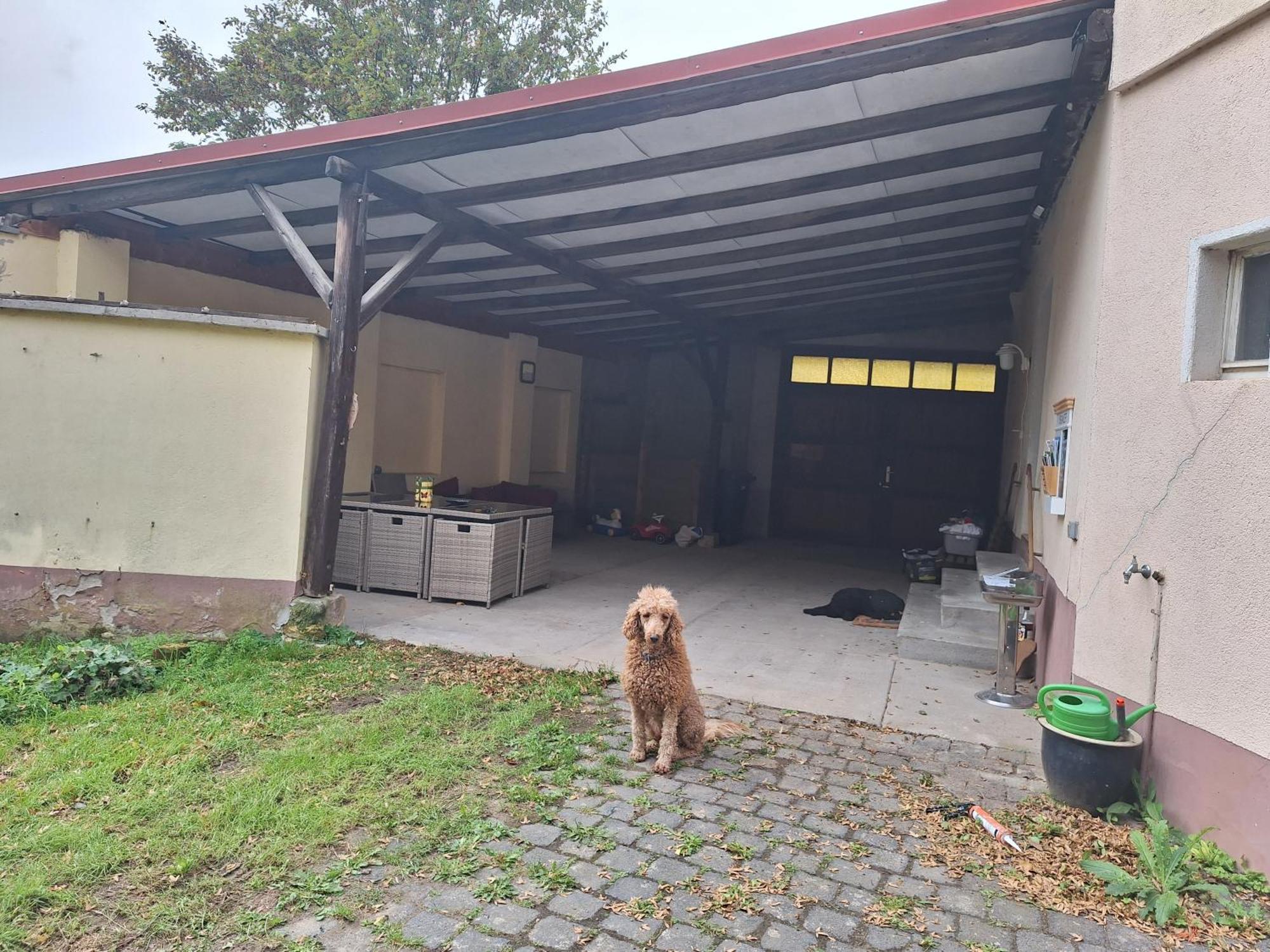 Ferienhaus Herztor Bad Bibra 外观 照片